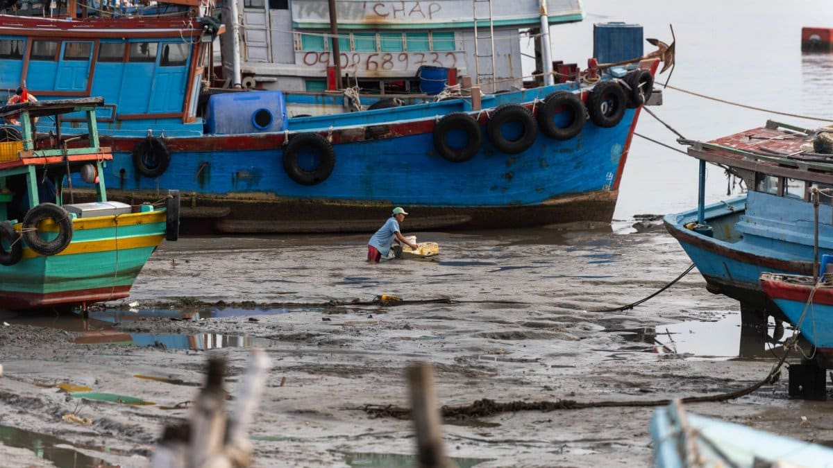 Traditional fishing boats on the dry dock at low tide in Vung Tau, Vietnam, showcasing a coastal lifestyle.