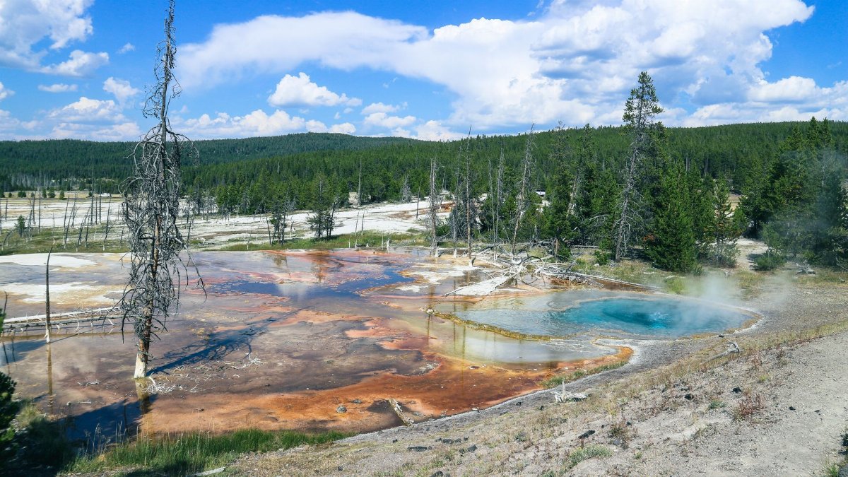 Vibrant view of Upper Geyser Basin in Yellowstone National Park, Wyoming, showcasing the geothermal activity and surrounding forest.