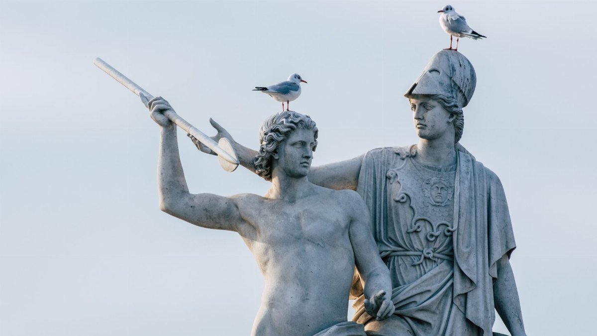 Seagulls perched on classical statues on a clear day, highlighting the blend of nature and art.