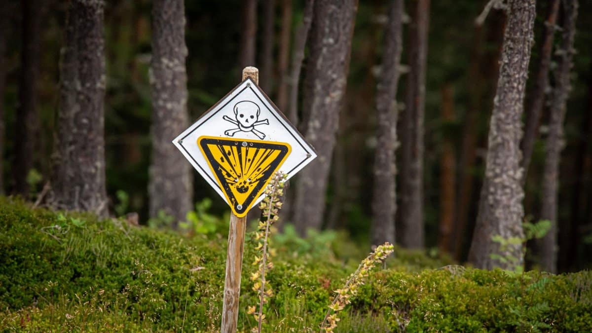 A caution sign with a skull and warning symbol in a forest alerts visitors to potential danger.