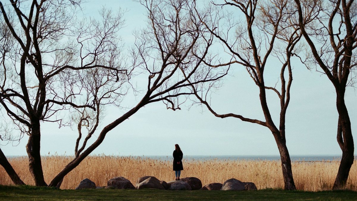 A solitary woman standing by leafless trees in a tranquil winter landscape by the sea.
