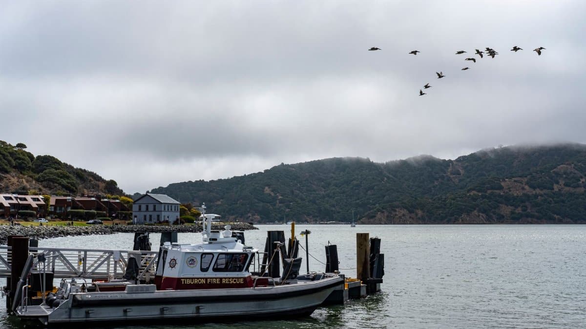 Tiburon Fire Rescue boat docked by a peaceful bay with hills and flying birds.
