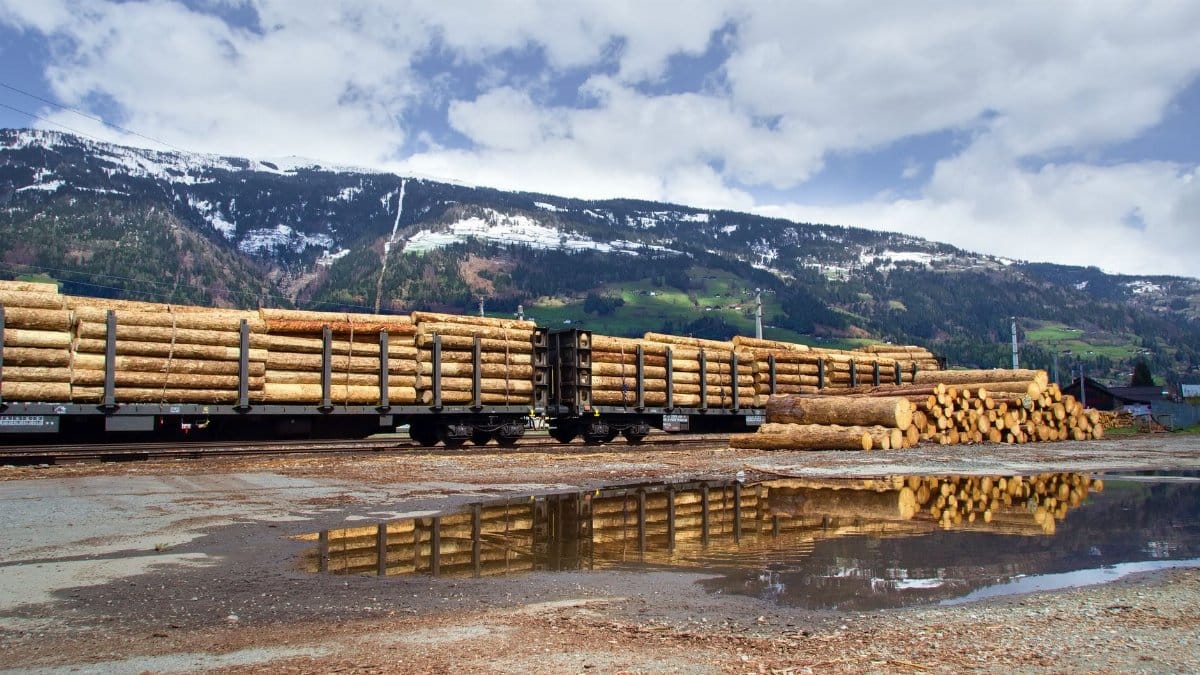 A freight train carrying timber logs near Lienz, Austria, reflecting in a puddle.