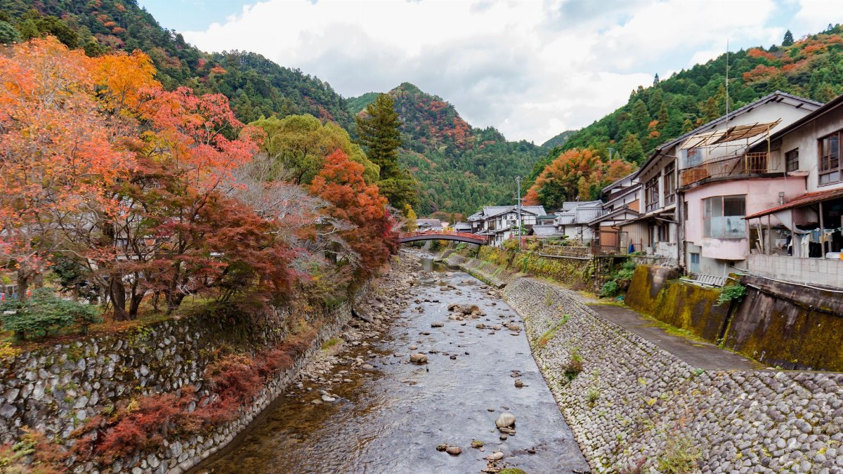 Picturesque autumn landscape with colorful foliage by a serene river in a rural Japanese town.