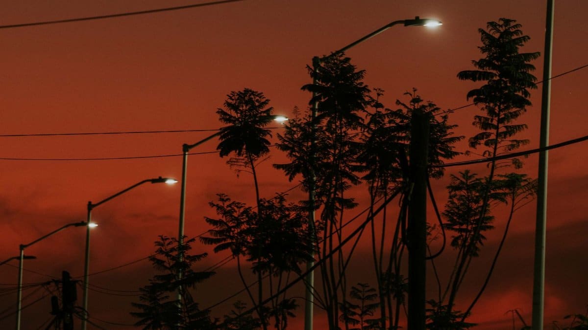 Silhouetted street lamps and trees against a dramatic red sunset sky, creating an urban evening mood.