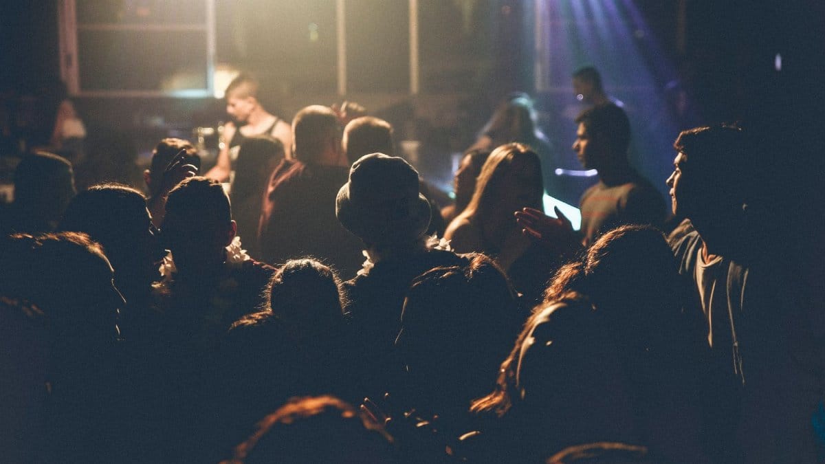 A lively crowd enjoying a concert with soft lighting and performers on stage.