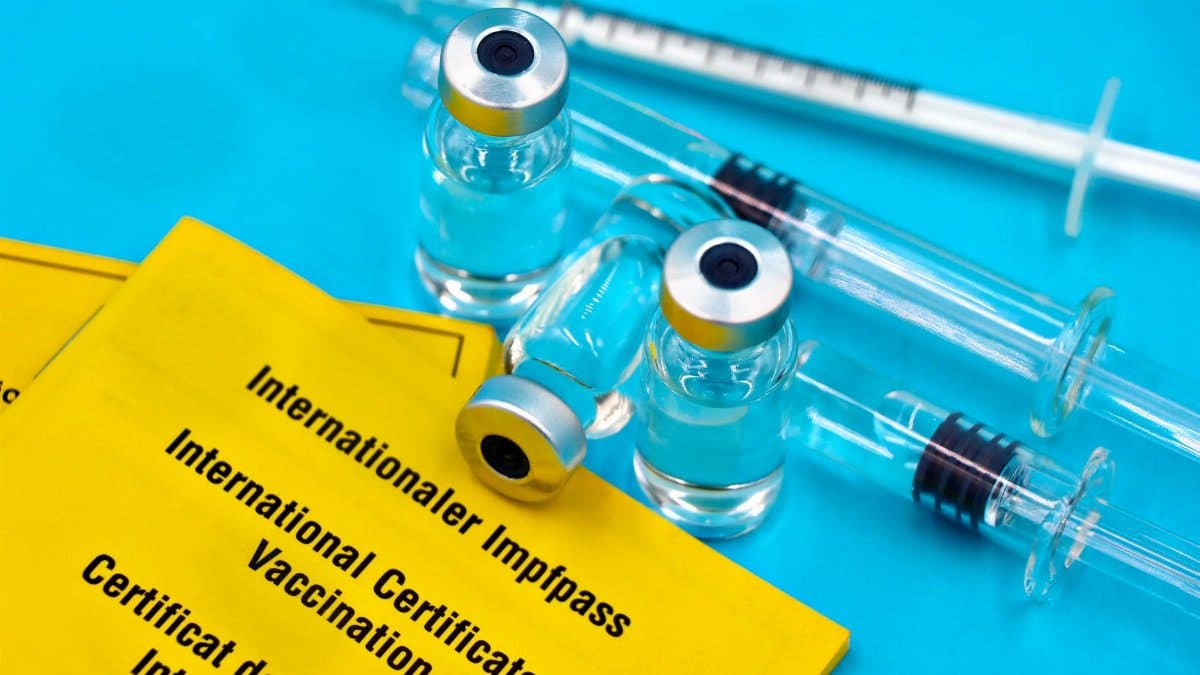 Close-up of vaccine vials, syringes, and international vaccination certificates on a blue surface.