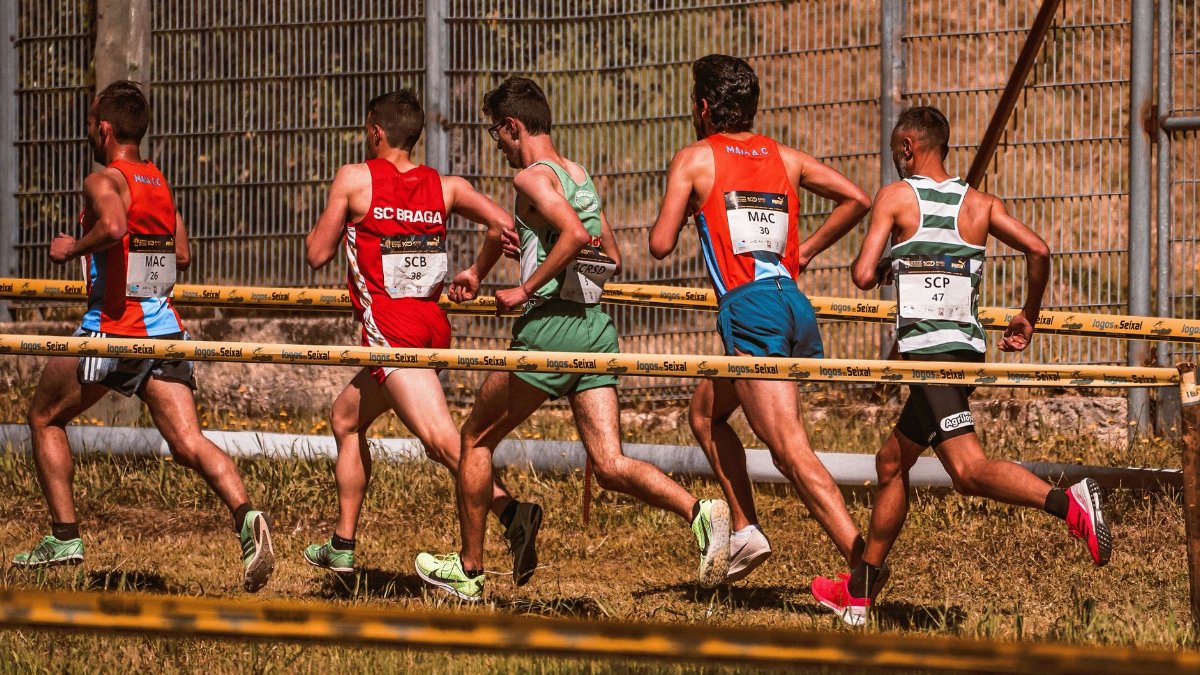 A team of male athletes competing in an outdoor cross-country race on a sunny day.