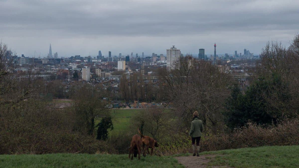 A person and dog walking on a park trail with a view of the London skyline.