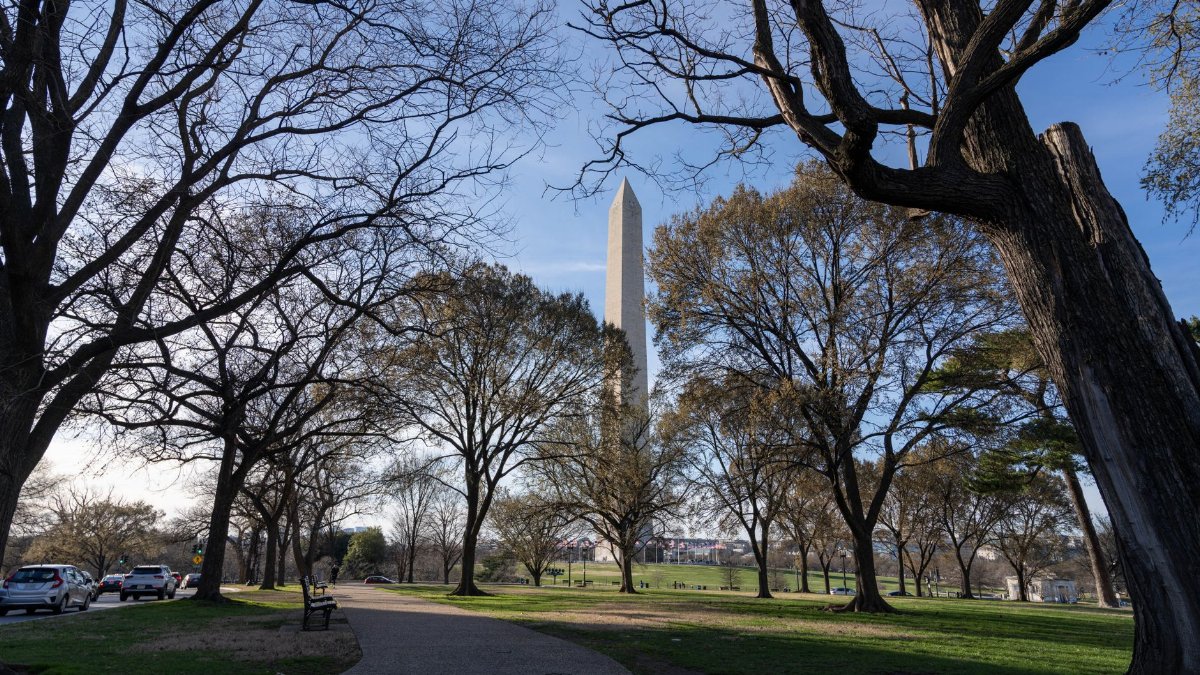Beautiful view of the Washington Monument framed by trees in a park during springtime in Washington D.C.