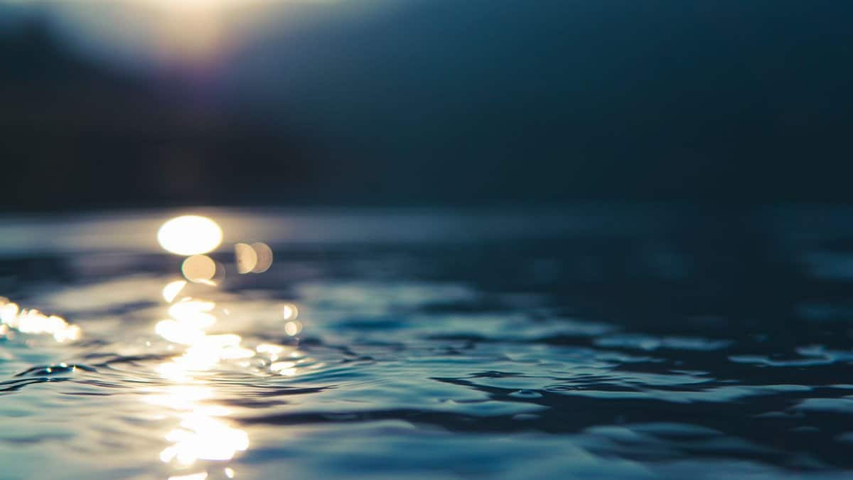 Peaceful water surface reflecting the sunrise in a serene natural setting.