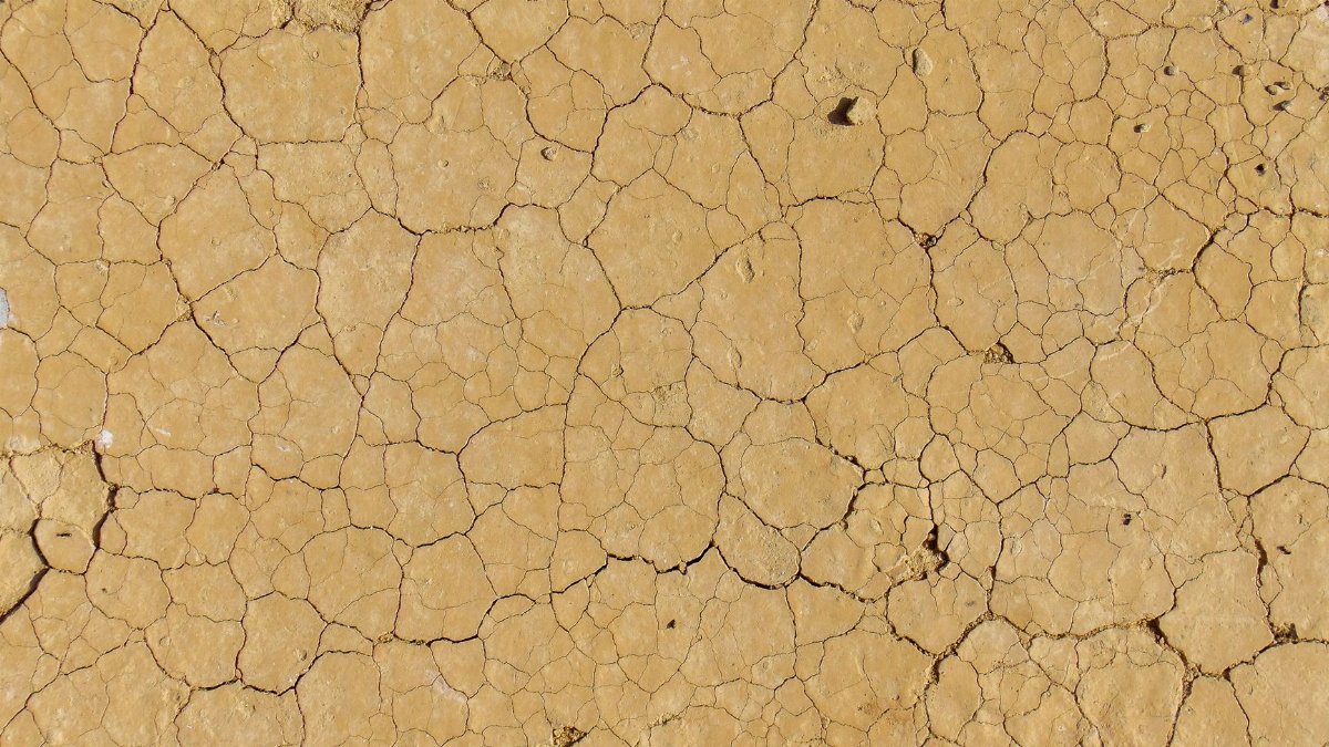 High-resolution image of sunlit desert ground showcasing natural cracked textures and earth tones.