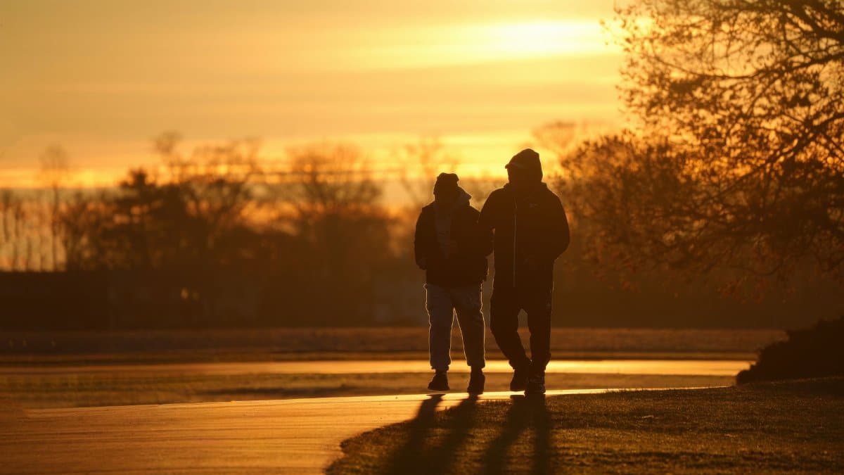 Silhouetted figures walking down a park path during a vivid sunrise.