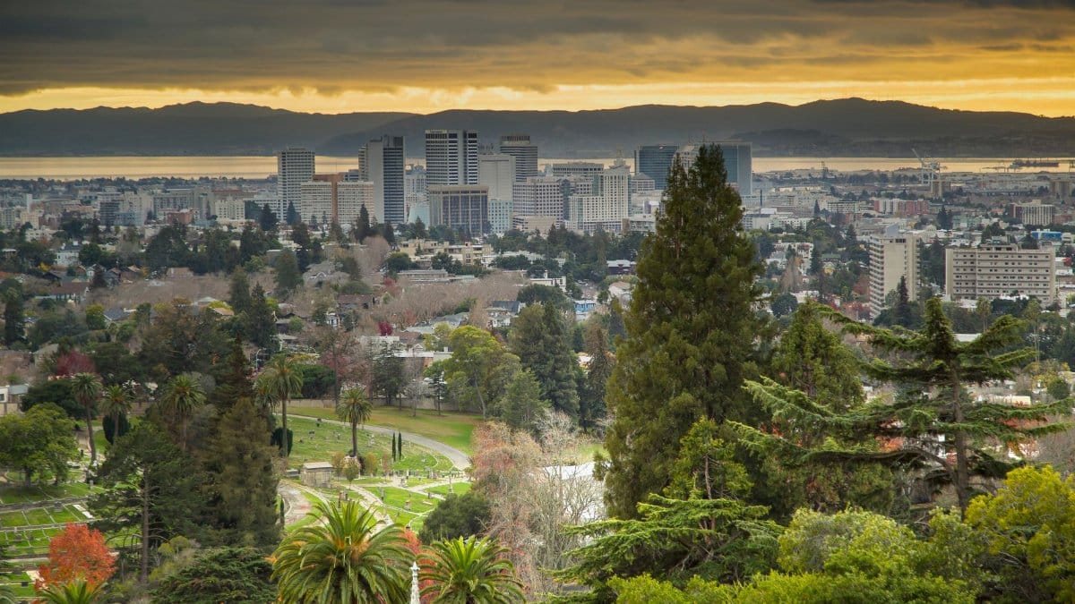 Stunning view of Oakland skyline and lush foreground at sunset.