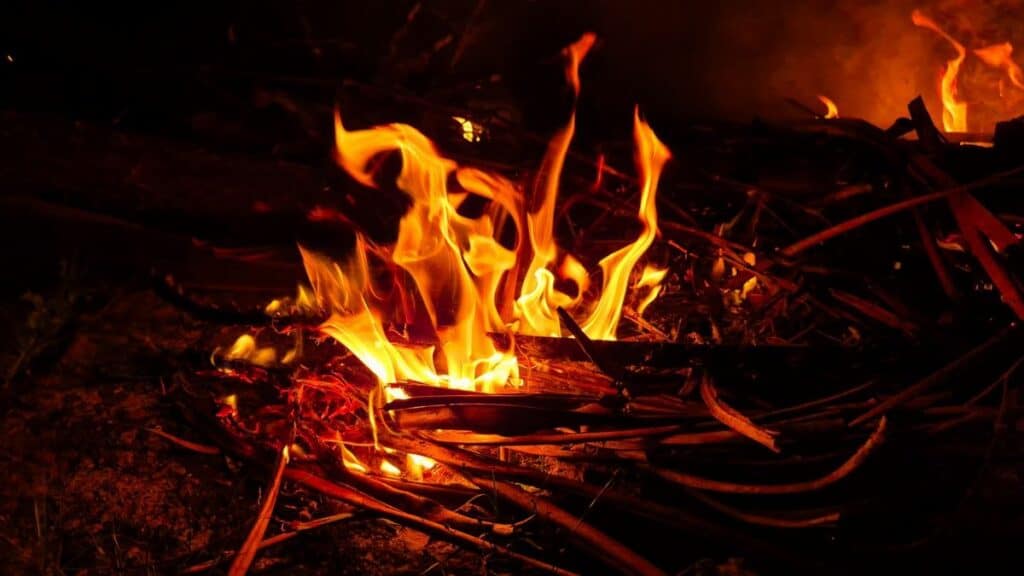 Close-up of bright orange fire flames engulfing dried branches at night, creating a dramatic scene.