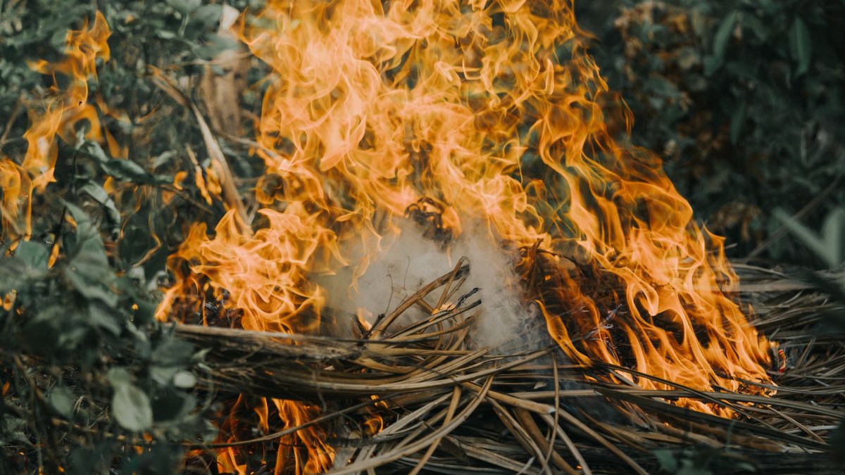 A bright and vivid outdoor fire with flames engulfing dry leaves in a natural setting.