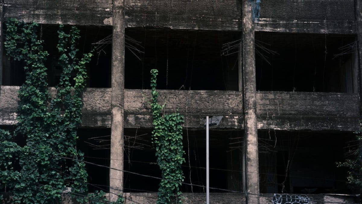 Creeping vines on a derelict concrete building, showcasing urban decay.