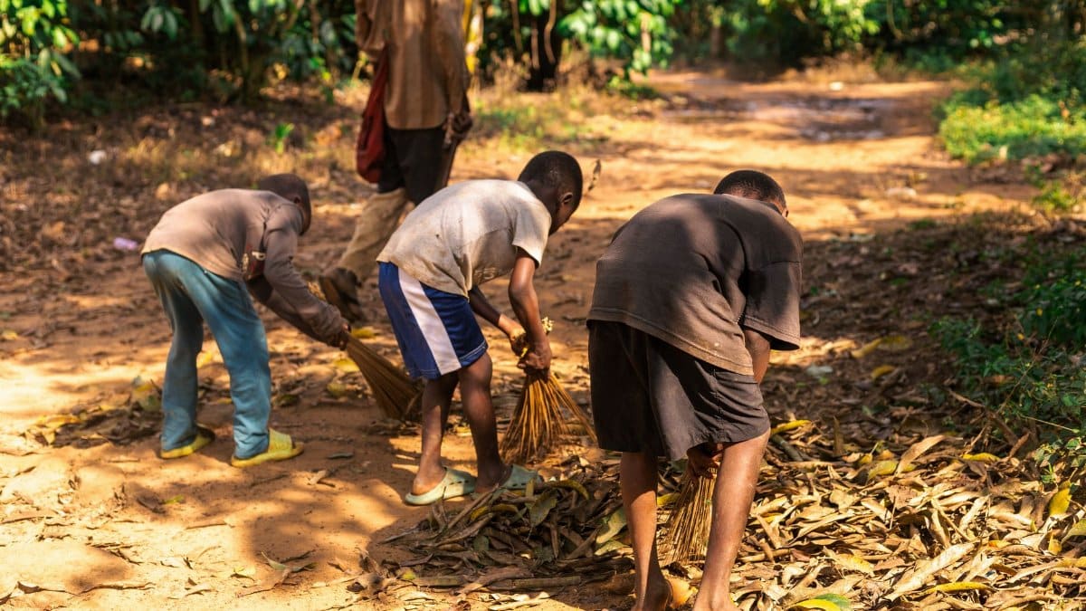 Young boys sweeping leaves on a rural path, engaging in communal cleaning outdoors.
