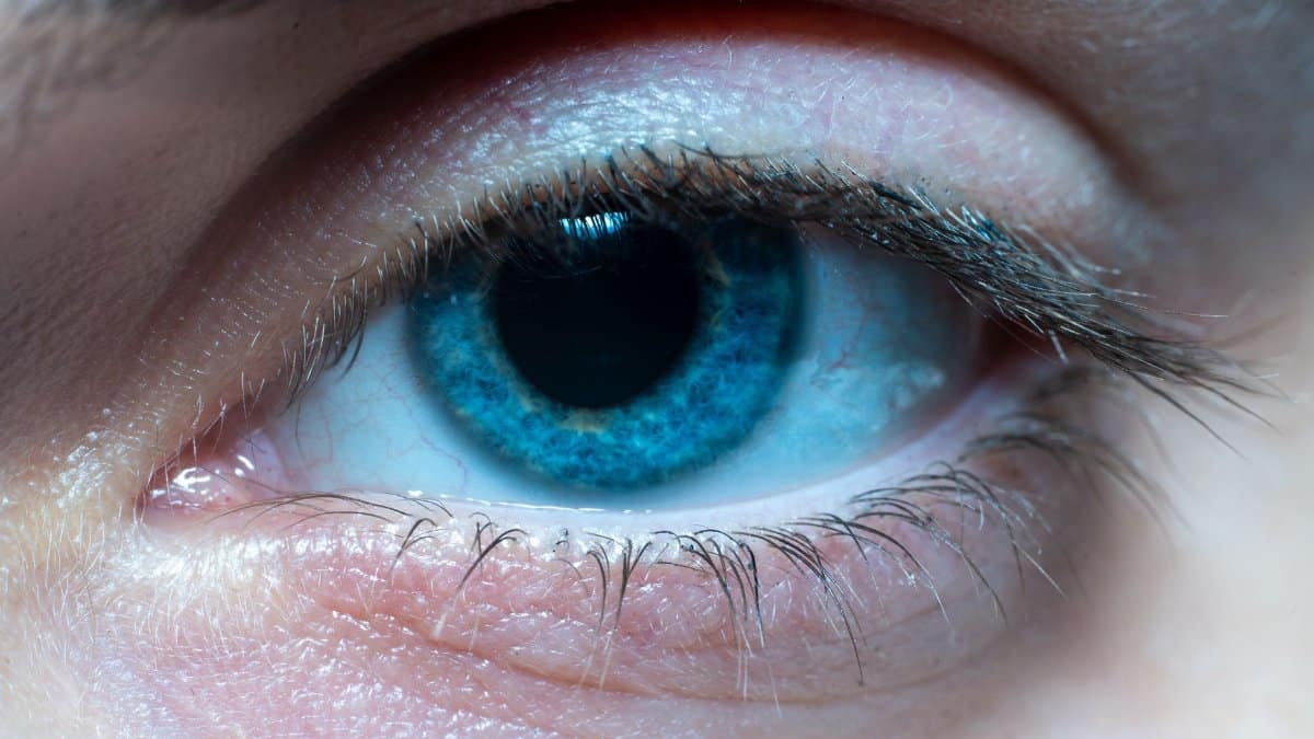 Detailed macro shot of a vibrant blue human eye. Perfect for medical or aesthetic themes.