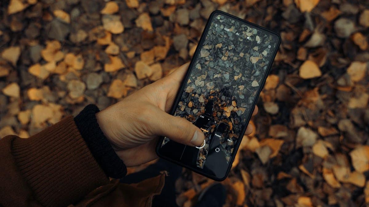 A hand holds a smartphone capturing fallen autumn leaves on the ground.