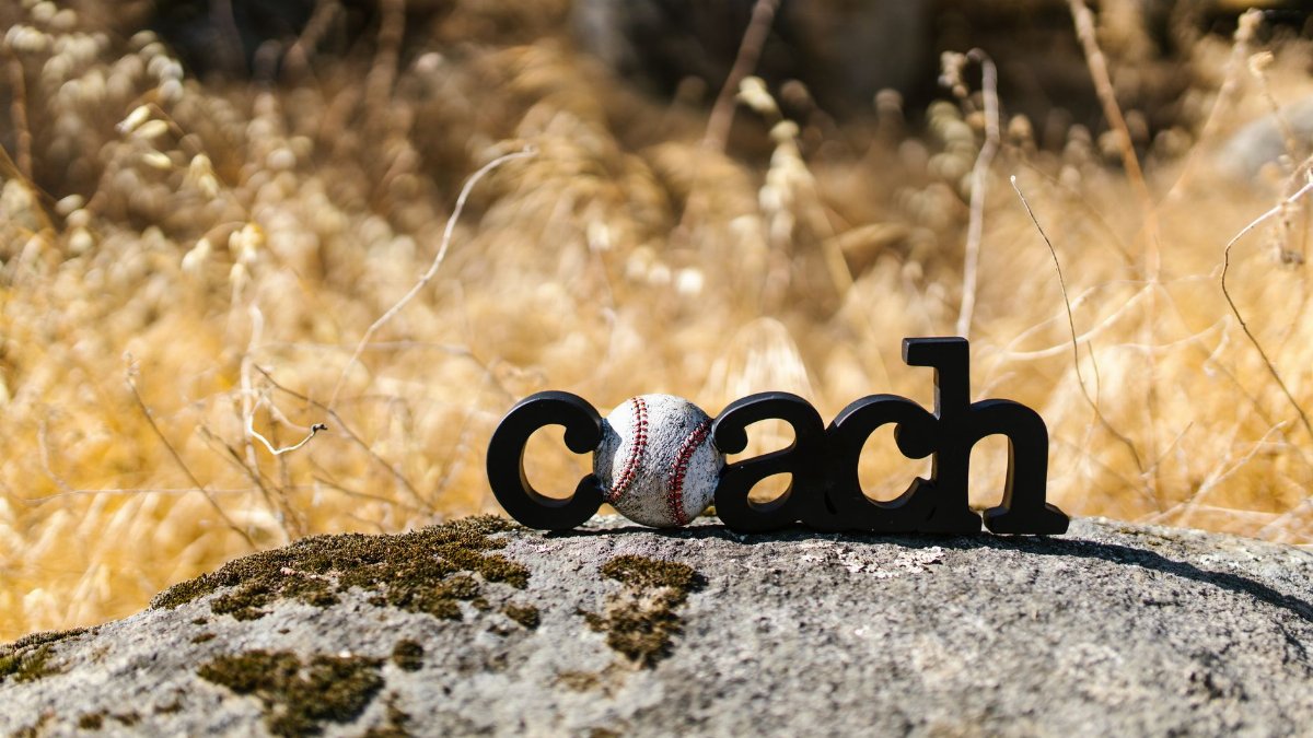 Creative display of a baseball with the word 'coach' on a rustic rock outdoors.