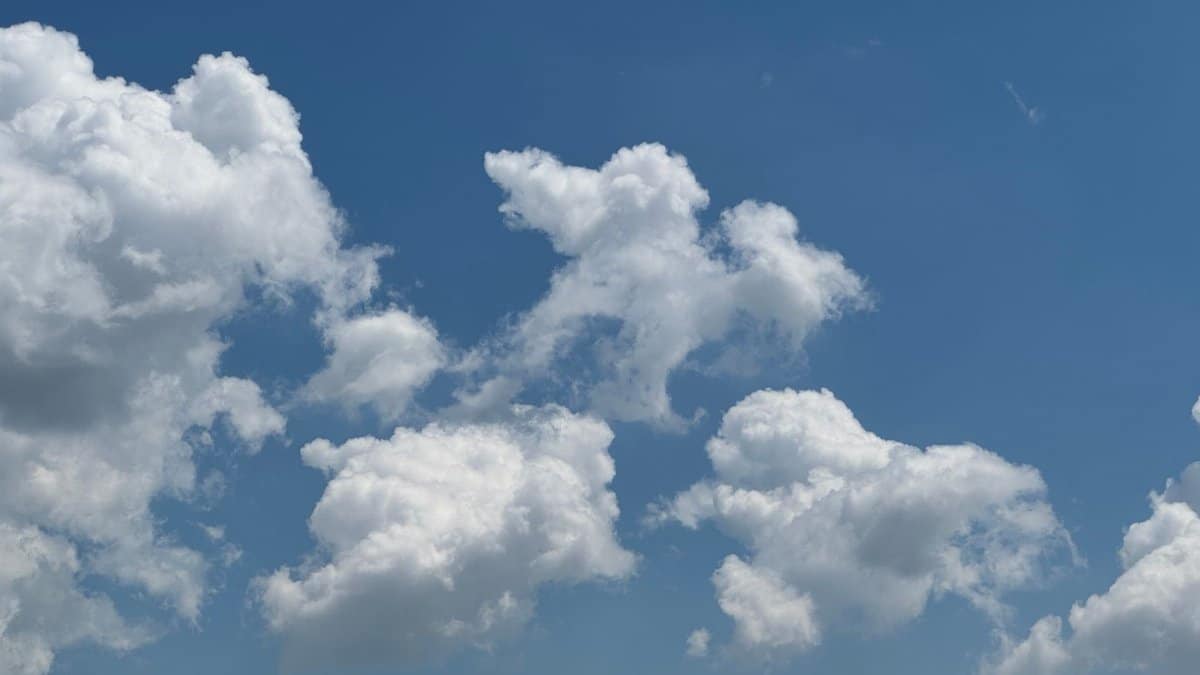 Serene sky filled with fluffy white clouds on a bright sunny day.