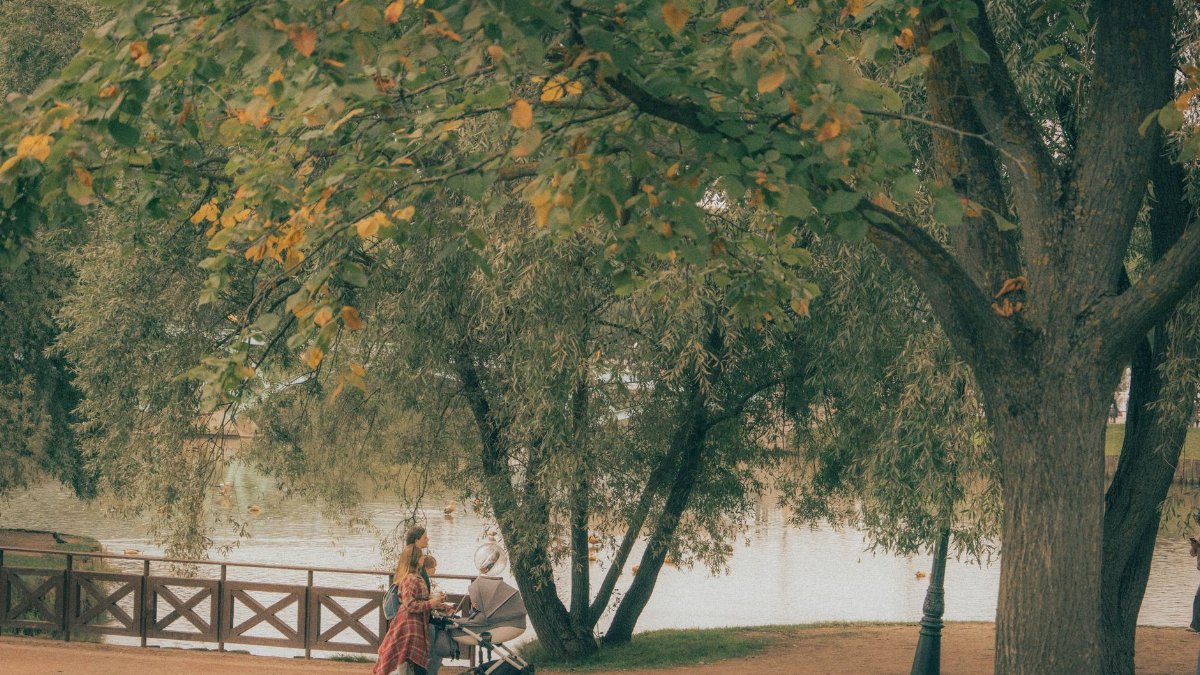 A family enjoying a peaceful walk with a stroller by a lake in a Moscow park during autumn.