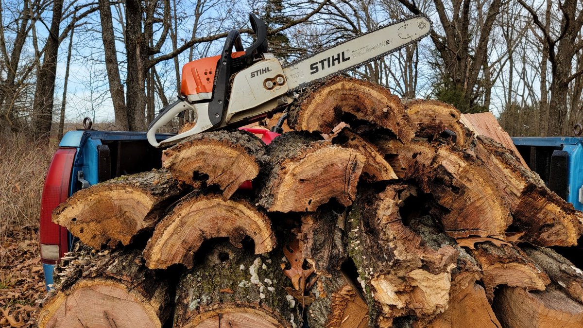 A chainsaw sits atop freshly cut tree logs in a Wheatland, MO forest.