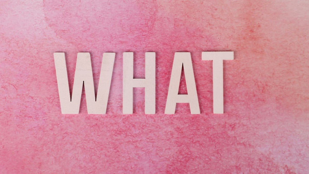 Creative pink background with the word 'WHAT' in bold white letters.