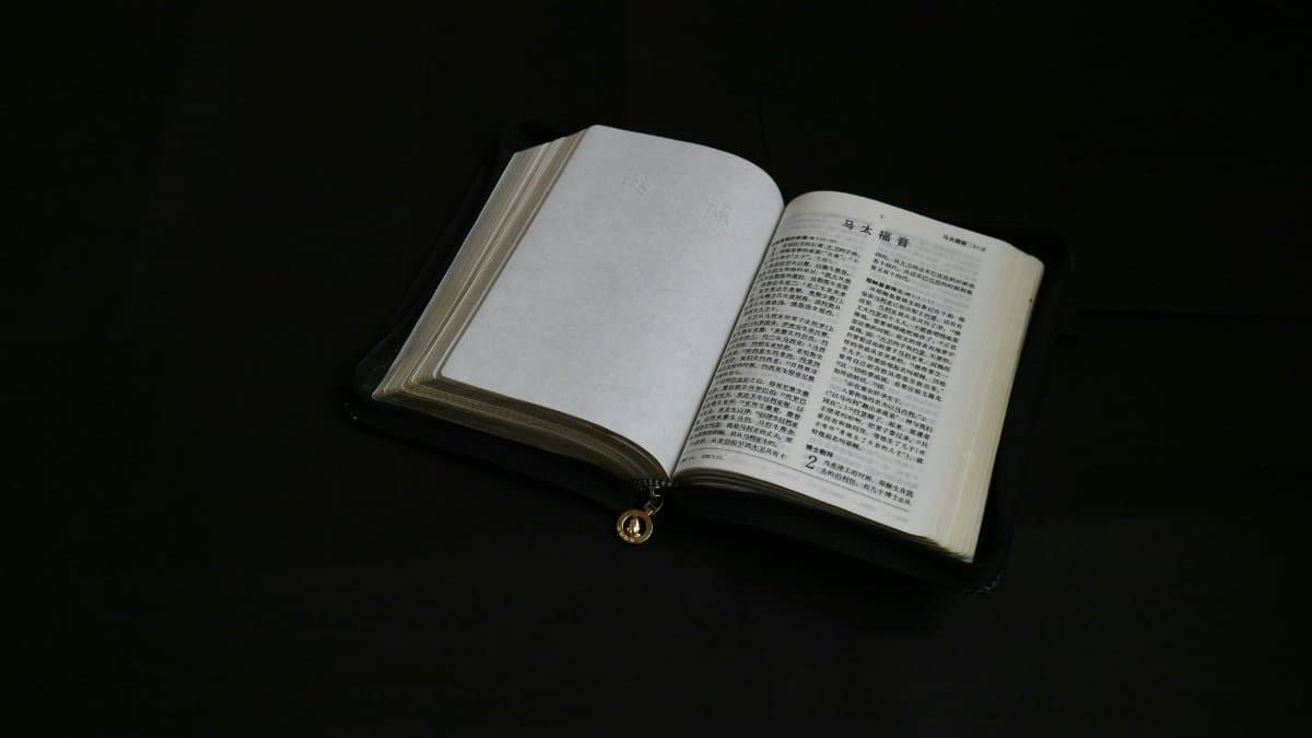 Open book with Chinese text on a dark background, studio still life shot.