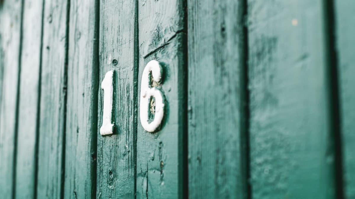 Close-up of a rustic green wooden wall with the white number 16 painted on it.