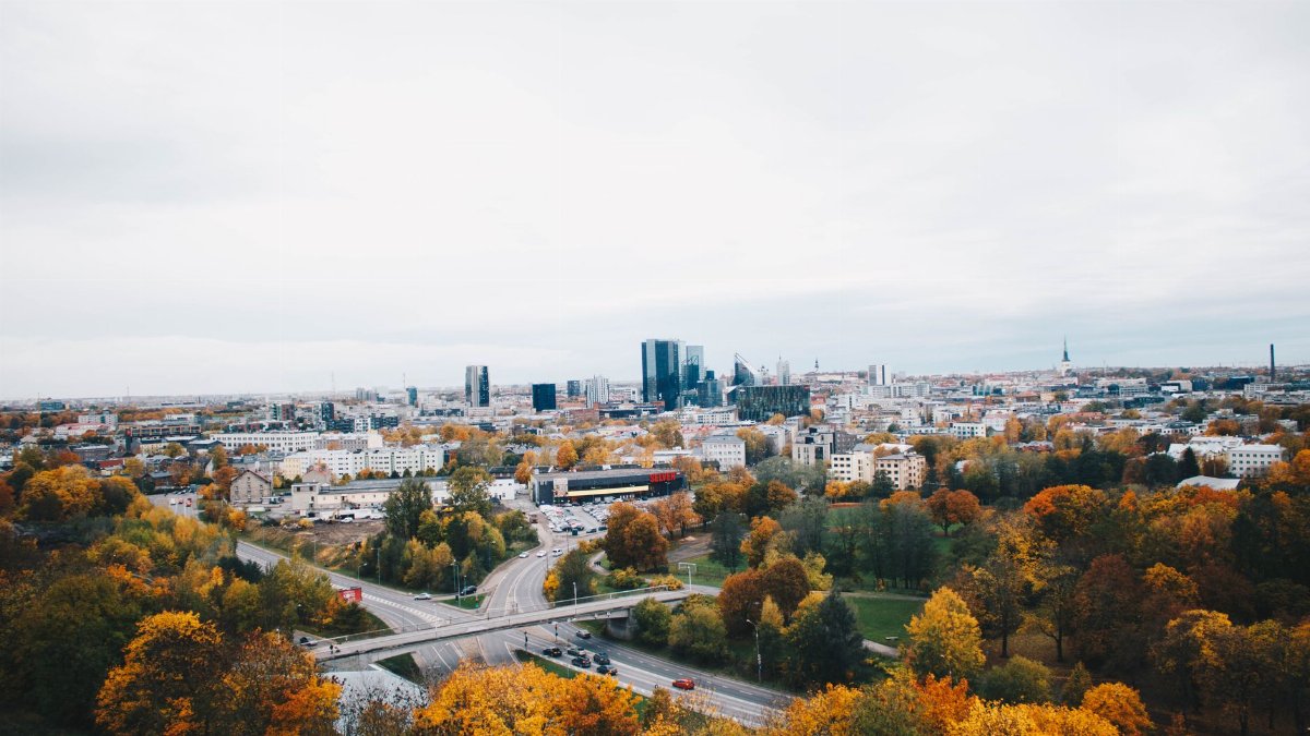 High-angle view of a vibrant city skyline with autumn foliage in the foreground.