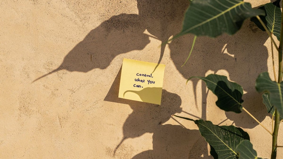 A motivational note on a wall surrounded by plant shadows in Dubai's sunlight.