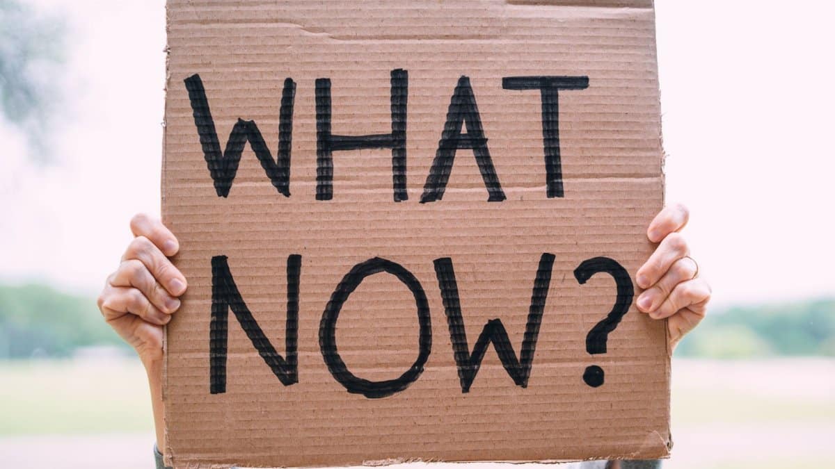 Cardboard sign reading 'What Now?' held outdoors, conveying uncertainty or protest.