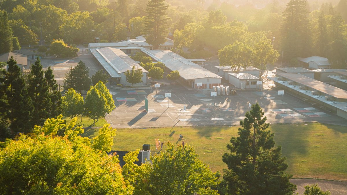 Scenic aerial image of a school complex surrounded by lush greenery at sunset.
