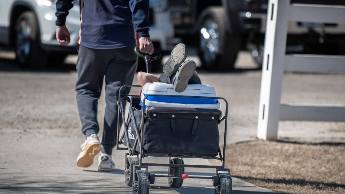 A man pulls a cart with a cooler, outdoors on a sunny day, showcasing leisure or work.
