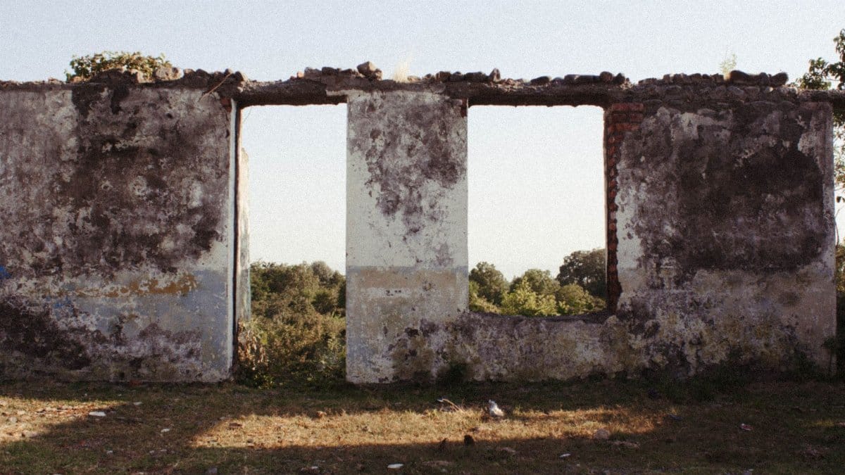 A decaying stone wall with nature encroaching, showcasing time's effects.