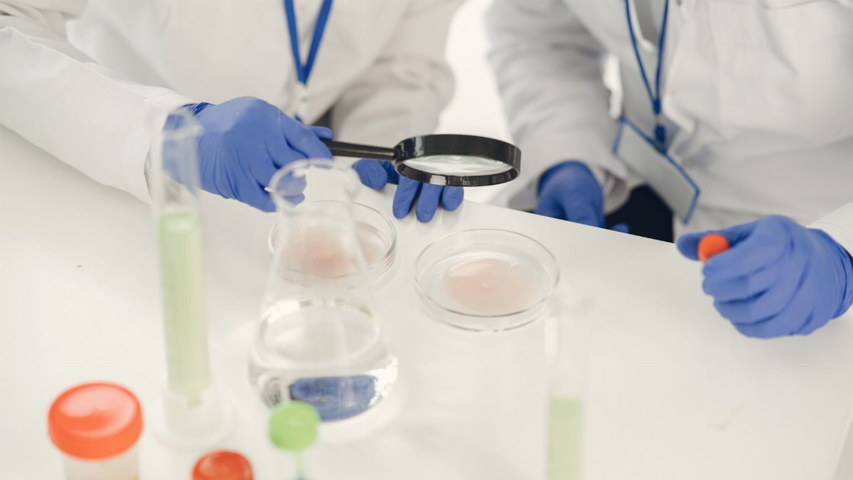Researchers in lab coats examining samples and conducting experiments with test tubes and petri dishes.