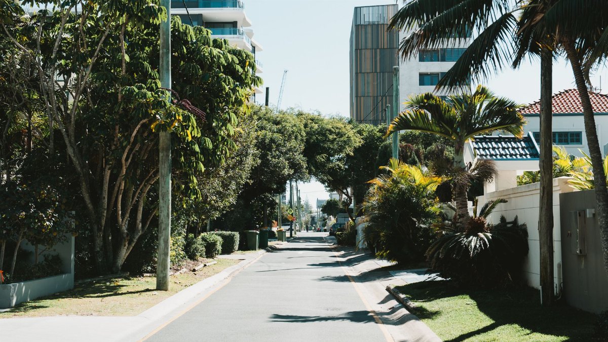 A sunlit street in Gold Coast, QLD, Australia, lined with palm and lush trees.
