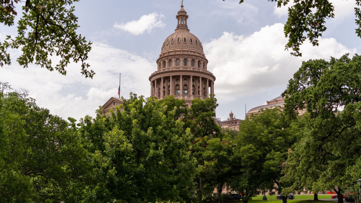 View of the Texas State Capitol dome amidst lush greenery on a sunny day in Austin.