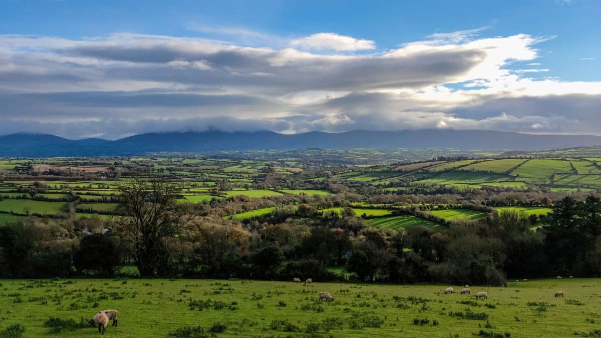 Explore the lush green fields and distant mountains of Graiguenamanagh, Ireland.