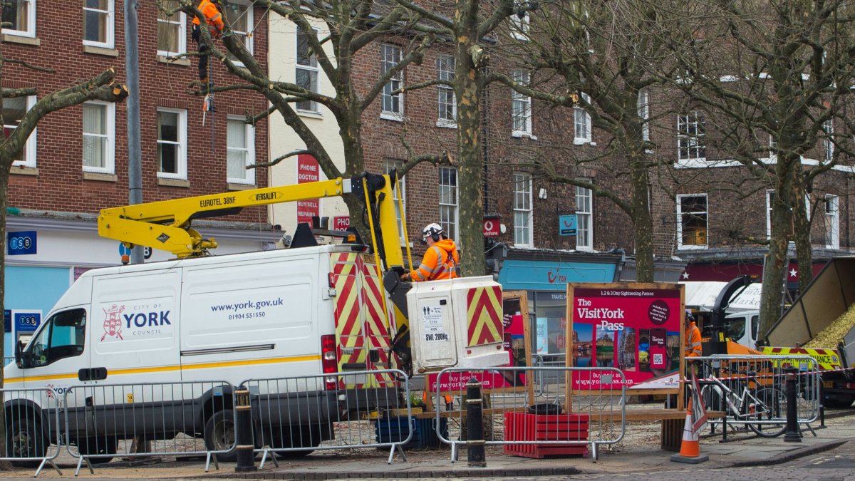 Scene of tree maintenance in York city center with workers and equipment.