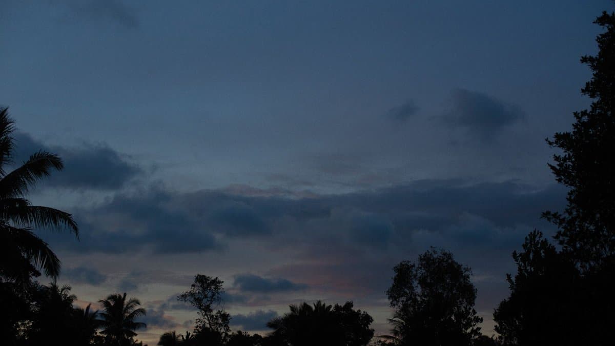 A calm and peaceful tropical silhouette against a dusky sky with scattered clouds.
