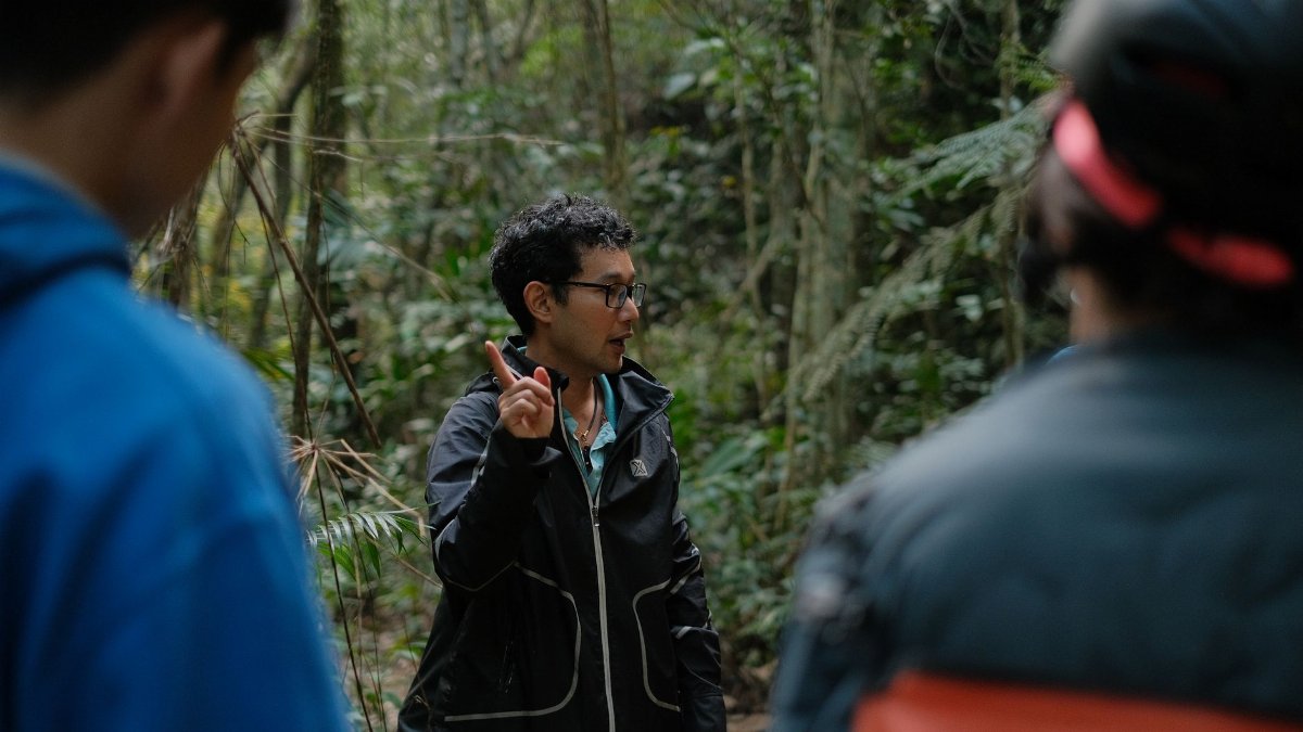 A guide leading a group of people on an informative nature walk in a dense forest.