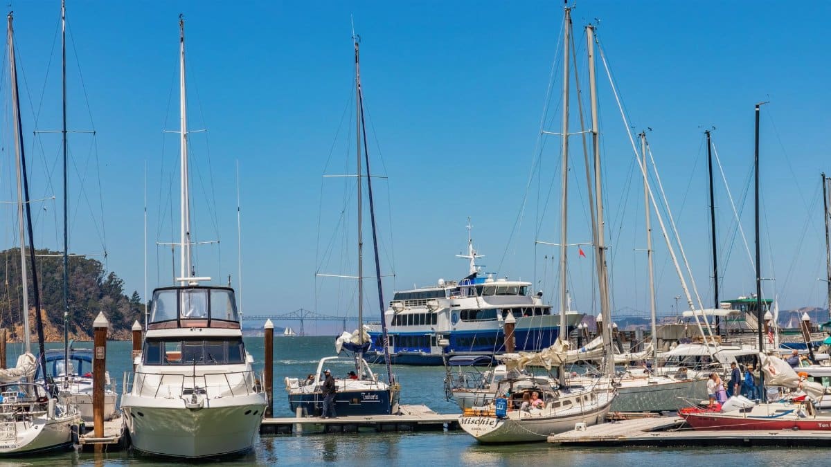 A calm harbor scene with various yachts and sailboats docked on a sunny day.