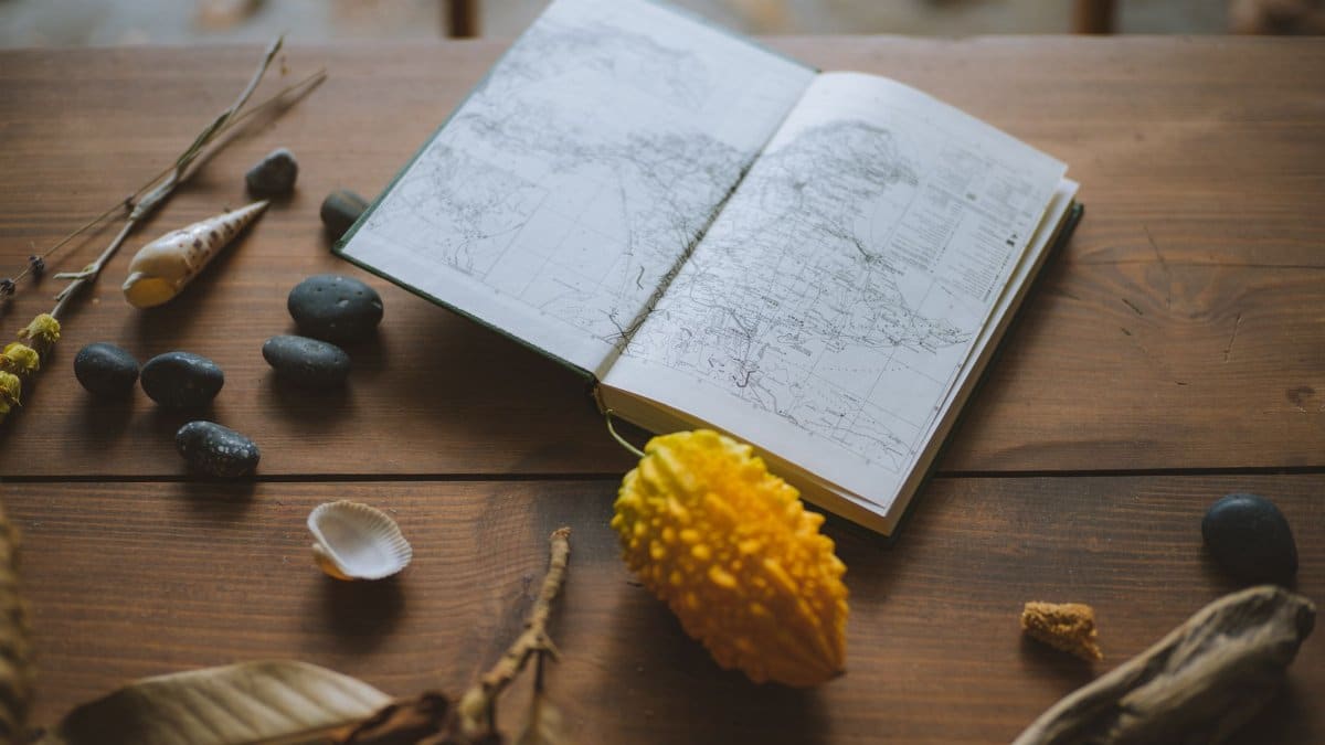 A rustic arrangement with an open map, stones, shells, and dried leaves on a wooden table.