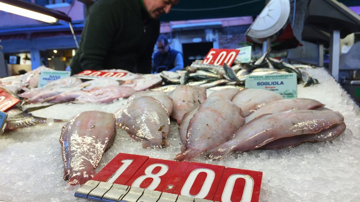 Fresh seafood with price signs displayed on ice at a bustling fish market.