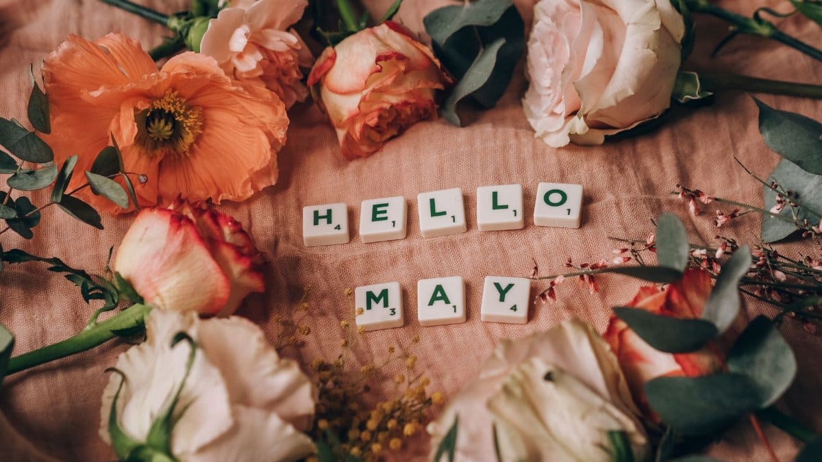 Close-up of scrabble tiles spelling 'HELLO MAY' surrounded by vibrant spring flowers.