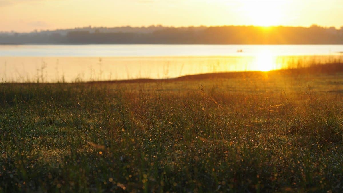 A tranquil sunrise over a lakeside in Đồng Nai, Vietnam with early morning dew on the grass.