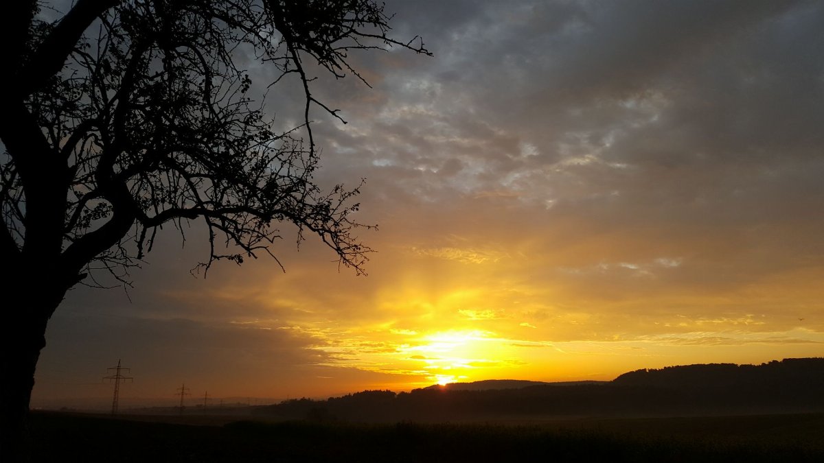 A peaceful sunset over the countryside with a silhouetted tree against a colorful sky.
